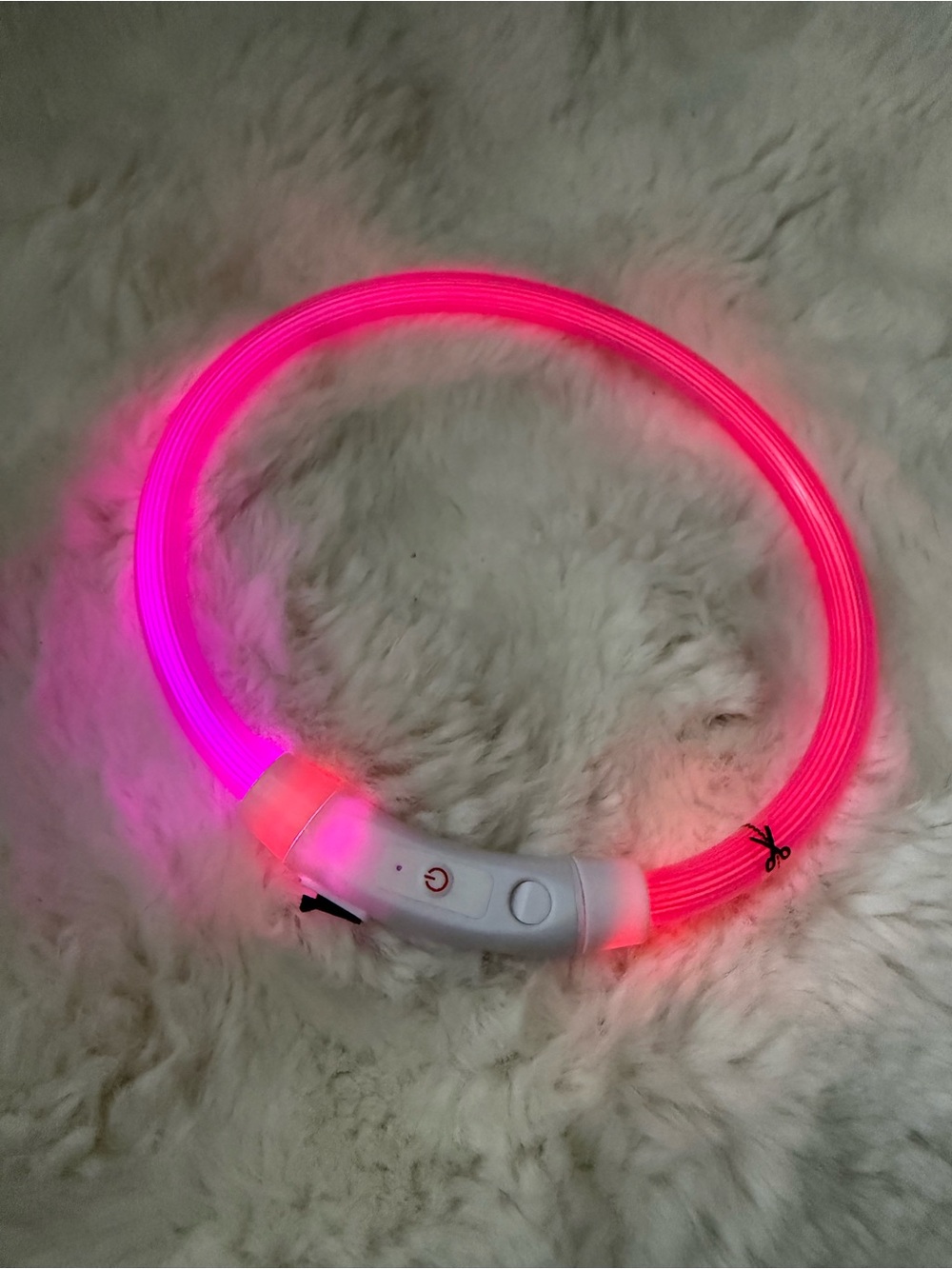 LED Light-Up Dog Collar